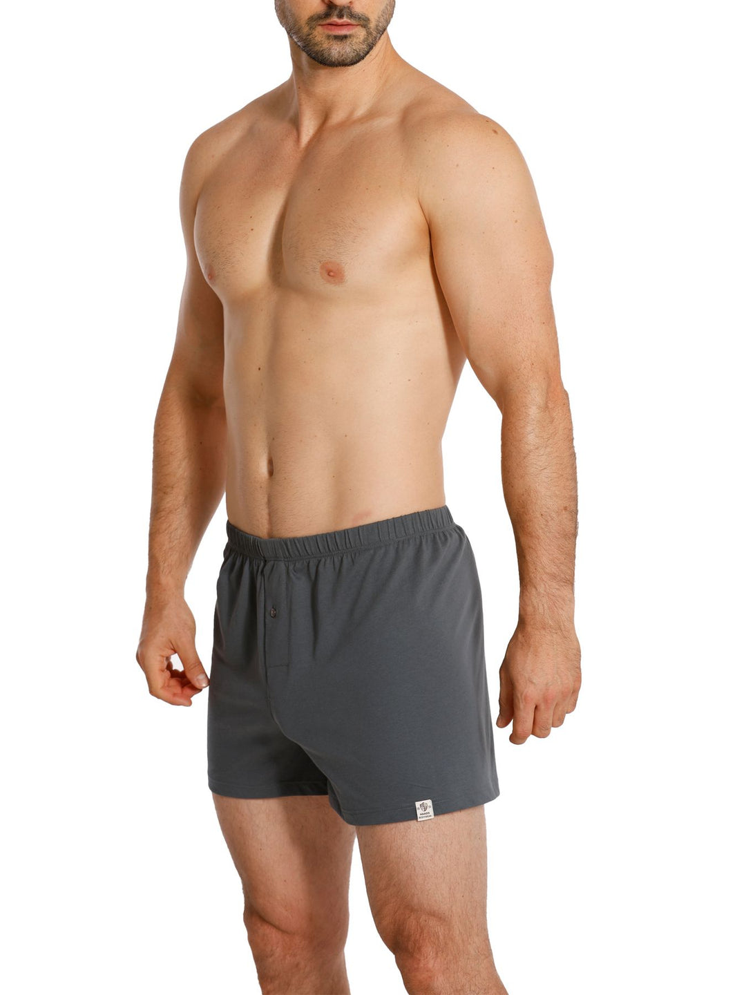 Herren Jersey Boxer, mit Knopfleiste, 2er Pack, Single-Jersey, Baumwolle kbA