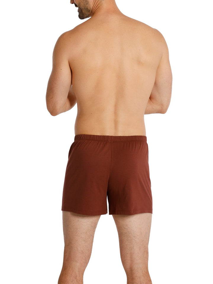 Herren Jersey Boxer, mit Knopfleiste, 2er Pack, Single-Jersey, Baumwolle kbA