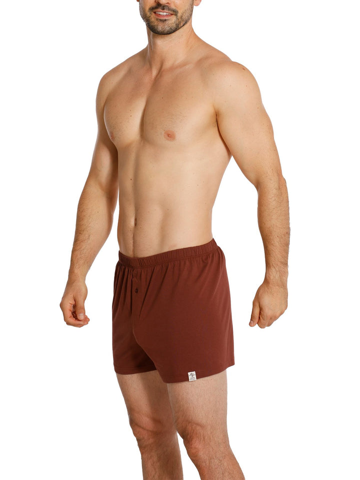Herren Jersey Boxer, mit Knopfleiste, 2er Pack, Single-Jersey, Baumwolle kbA
