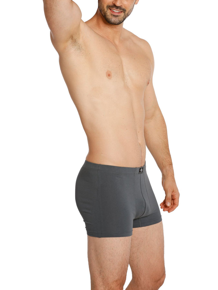 Herren Pants, ohne Eingriff, 5er Pack, Bio Baumwolle/ Elasthan, GOTS zertifiziert